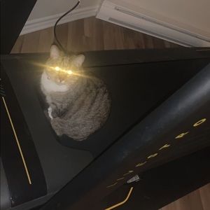 Meet your Posher, Eliane